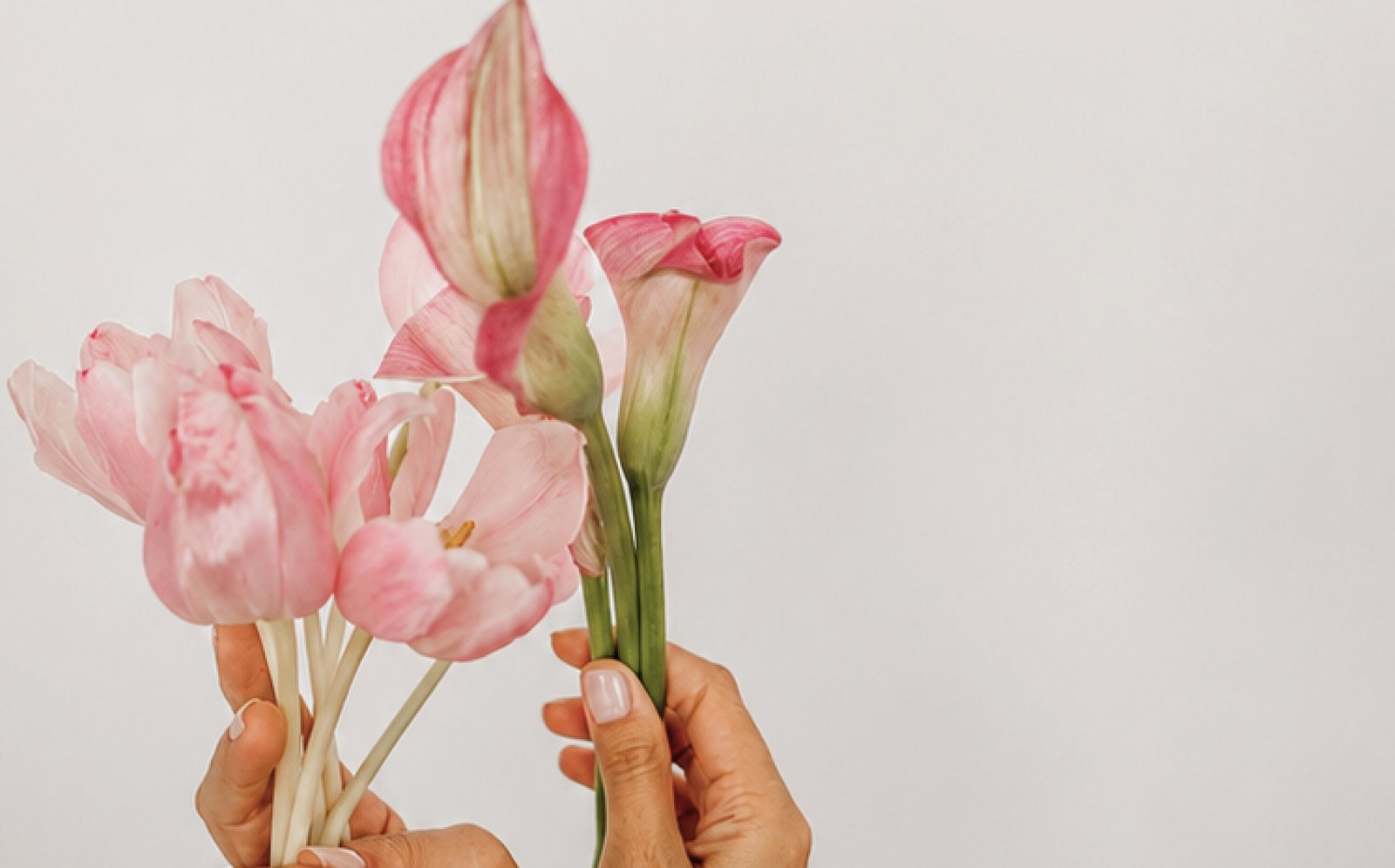 Mãos segurando flores rosas